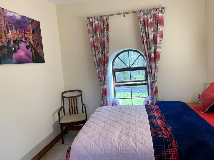 Cut Limestone Apartment Riverside Lodge Carlow Dış mekan fotoğraf